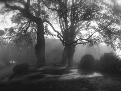 adriano-casalini-ricordi-tra-la-nebbia-nelle-nostre-colline