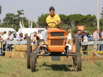 tractor-sdaz-2010-113