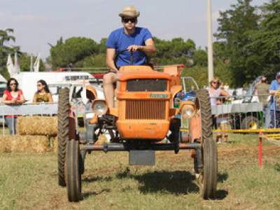 tractor-sdaz-2010-153