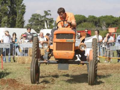 tractor-sdaz-2010-182