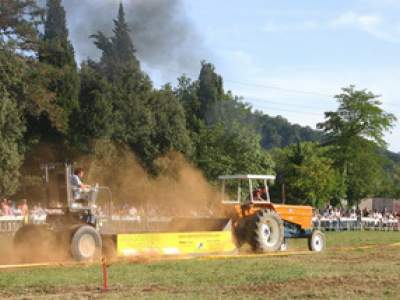 tractor-sdaz-2010-278