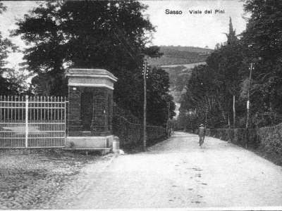 Viale dei Pini