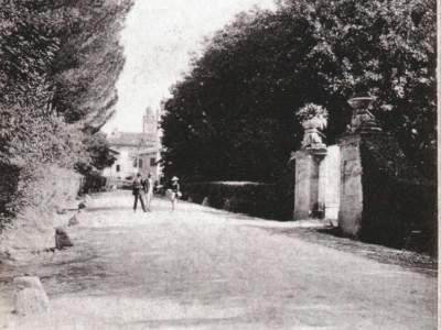 Viale dei Pini nel 1902