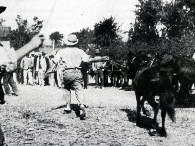 8 settembre 1906 - Fiera di Pontecchio